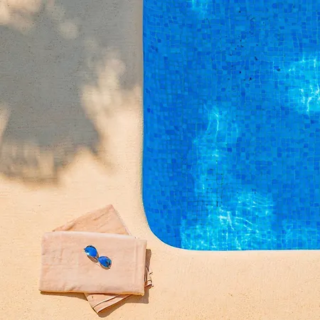 Socrates By Abahana *